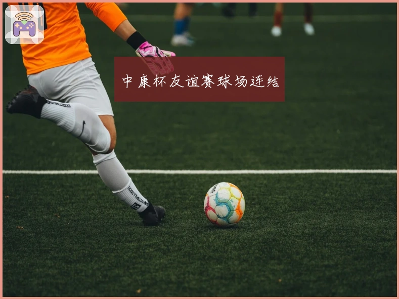 中康杯友谊赛球场连结