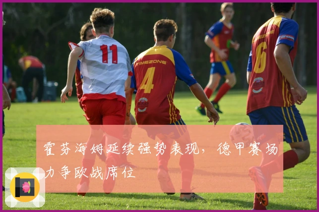 霍芬海姆延续强势表现，德甲赛场力争欧战席位